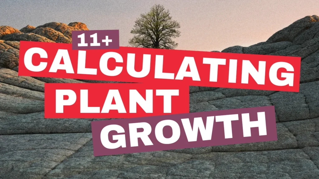 Calculating Plant Growth using Bar Models: 11+ Maths Word Problem
